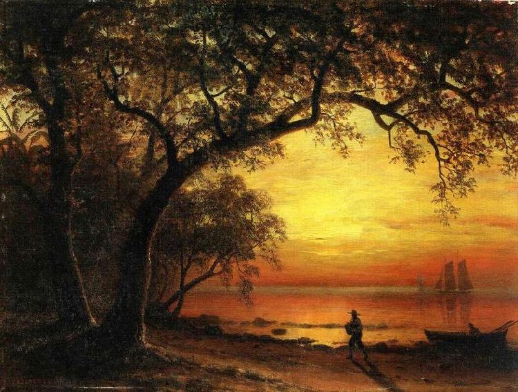 Albert Bierstadt Island of New Providence oil painting image
